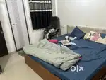 roommate required