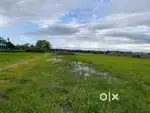 6 kotha Land for sale in Silchar near main road