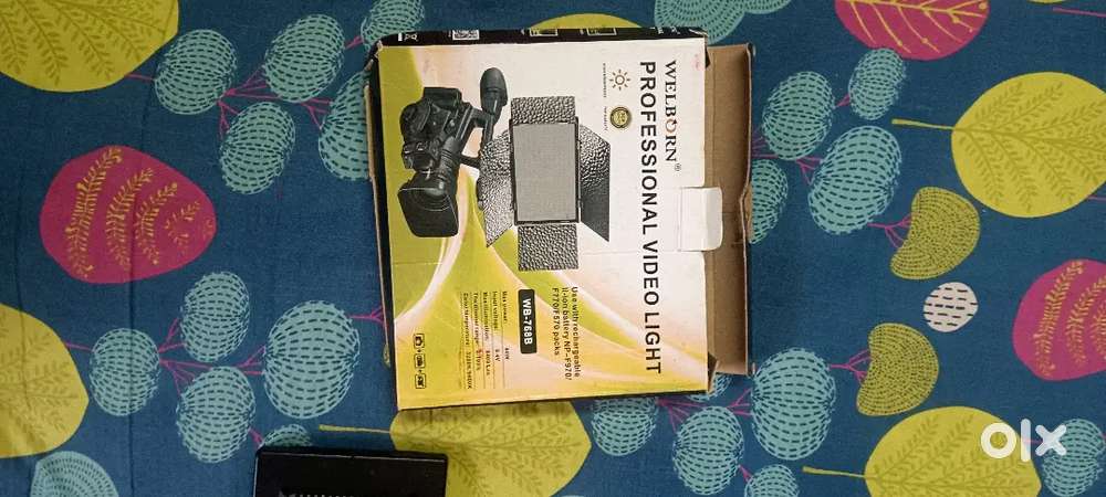 Well-born professional light