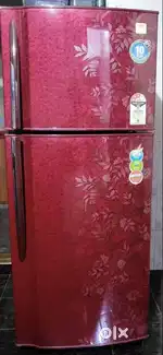 Godrej Double Door Fridge