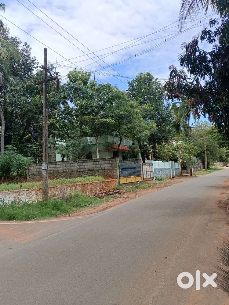 12 Cent Commercial Land for Sale in Konam Paruthivilai Junction