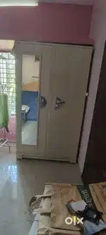 One year old Alamara for sale