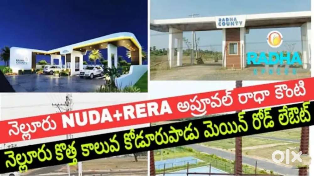 MJ, properties Nellore