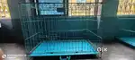 Cage for dogs