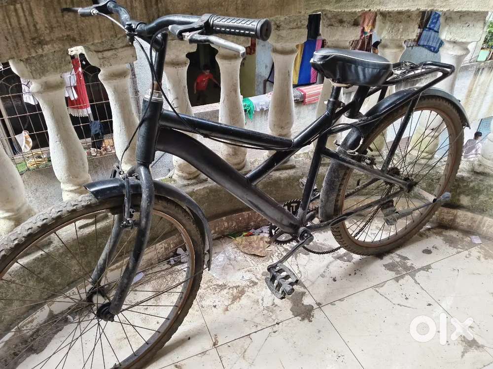 7 month old cycle