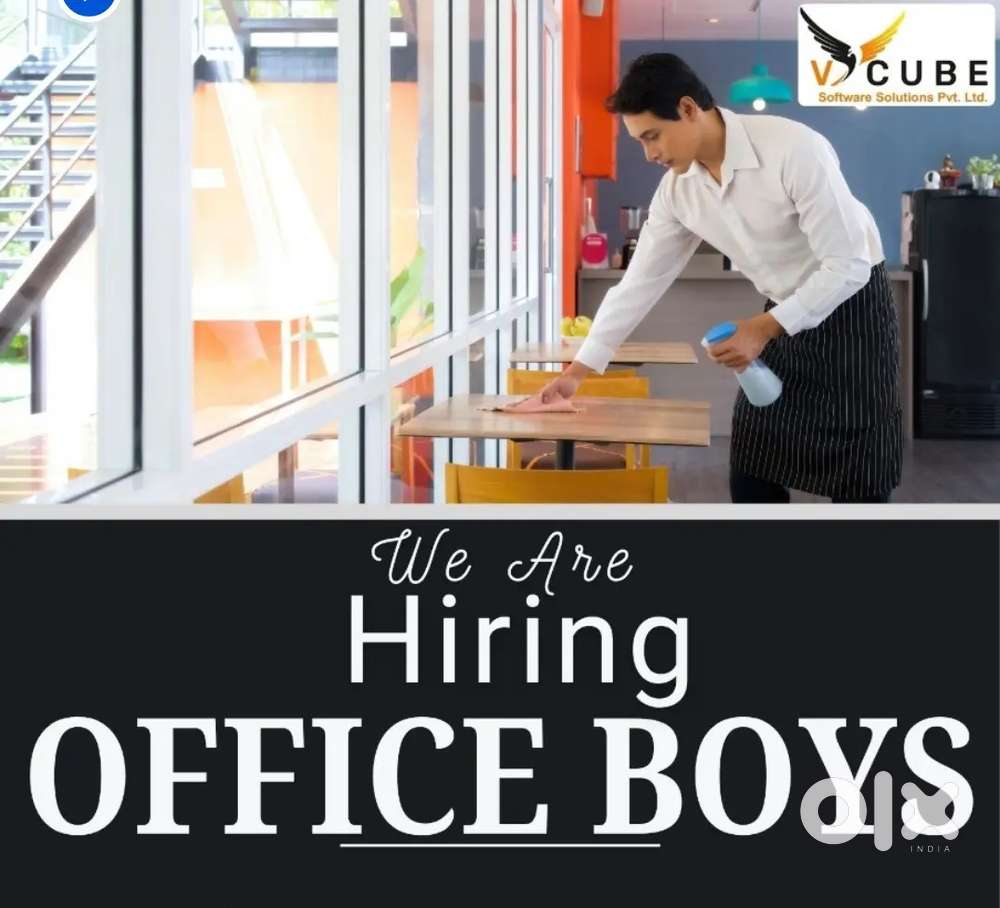 Office boy's Jobs urgent need