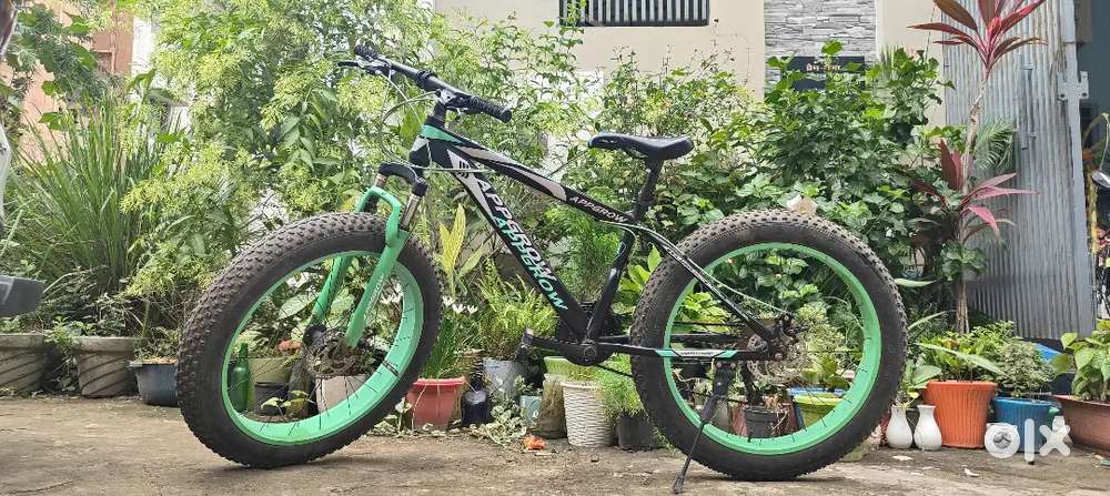 Fat bike with 21geyres appgrow brand for selling