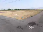 Low budget investment plots