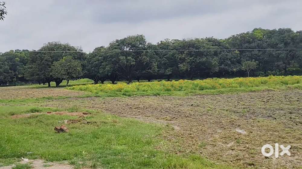 प्राकृतिक वातावरण से घिरी खेती की जमीन
खेती वाला खरीदे