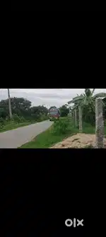 5 poultry sheds and 1.5 acre landReady to occupy poultry farms