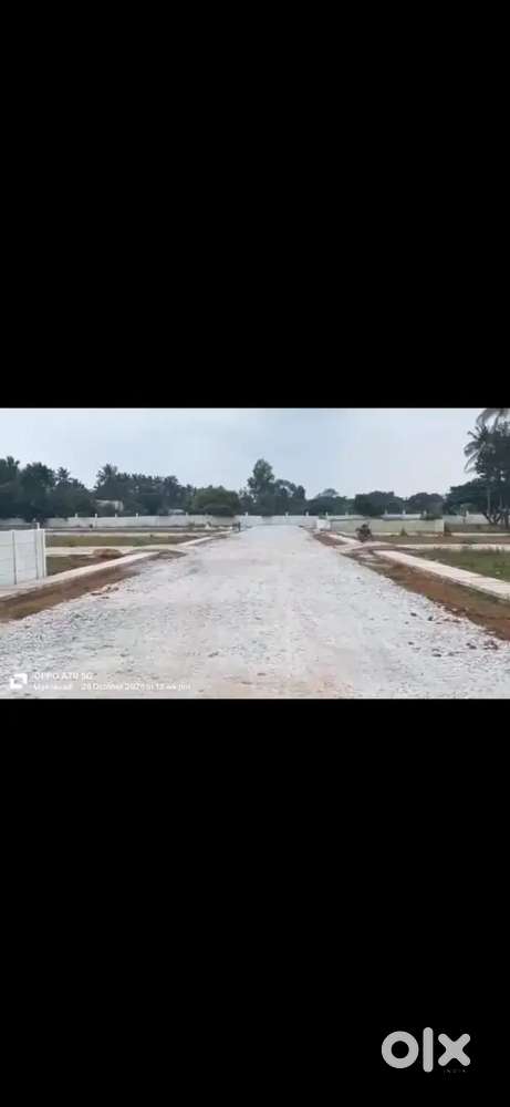 Near IVC road Devanahalli arasanahalli peddanahalli village