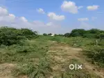Banar road jodhpur nandra khurd near by shree umrao b ed college
