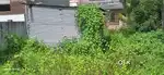 Shed and ms door