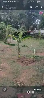 House  Plot  For  Sale  Karamana  Thaliyal  Trivandrum