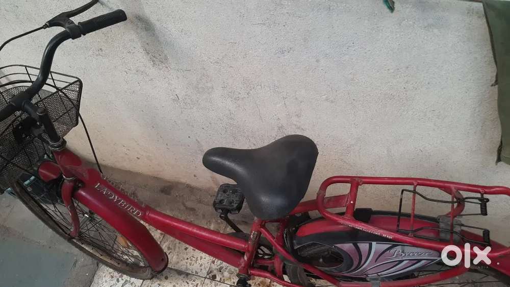 LADYBIRD LADIES CYCLE