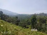 2.65-Acre Scenic Paradise in Kavumandam Wayanad