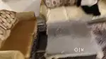 2+3=5 seater sofa set for sale