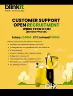CUSTOMER SUPPORT EXECUTIVE