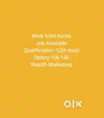 Work from Home (Banking, Finance Services)