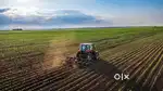 Narayankhed Farm Lands/Best Investment / One Acre @ 15 Lakhs