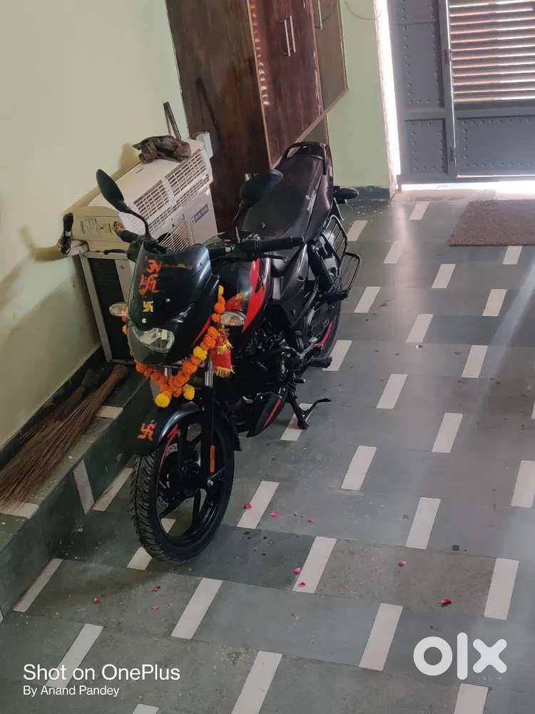 Bajaj Pulsar 125cc 2023 model is mint condition single owner