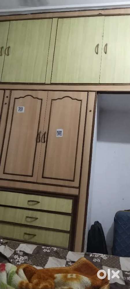 Need flatmates urgently for preoccupied foat