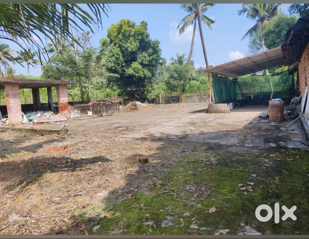 600sqft Shed and 1000sqft Land for Rent