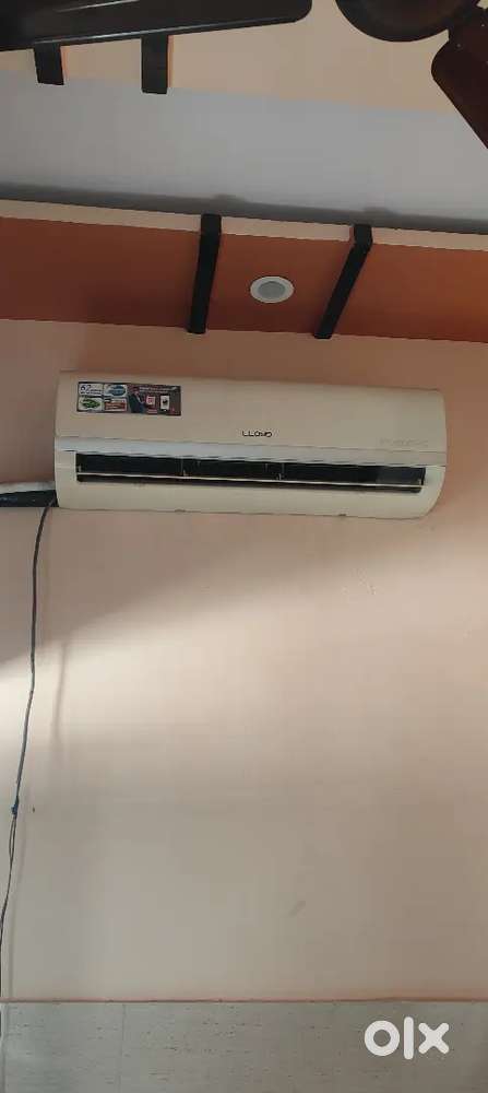 AC 1.5 tan