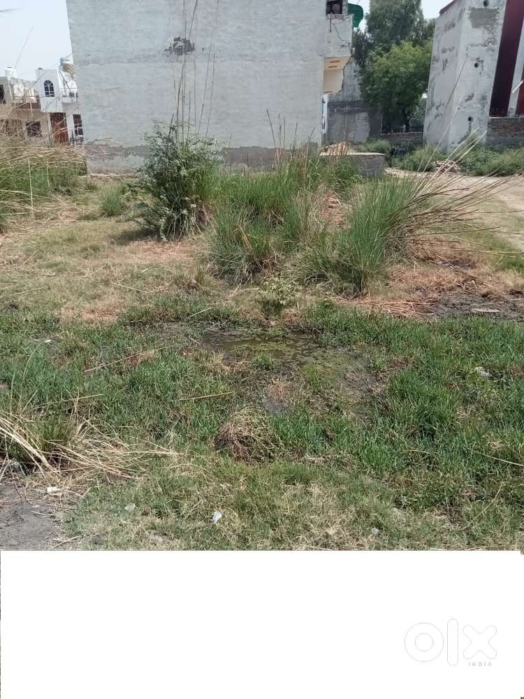 100 Gaj plot for sale in New Maman Vihar(Opposite Sec-2, Bahadurgarh)