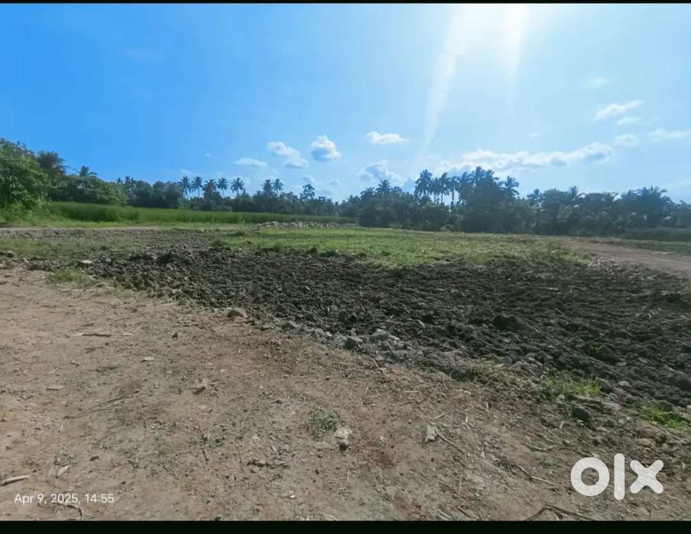 Land sale near joka