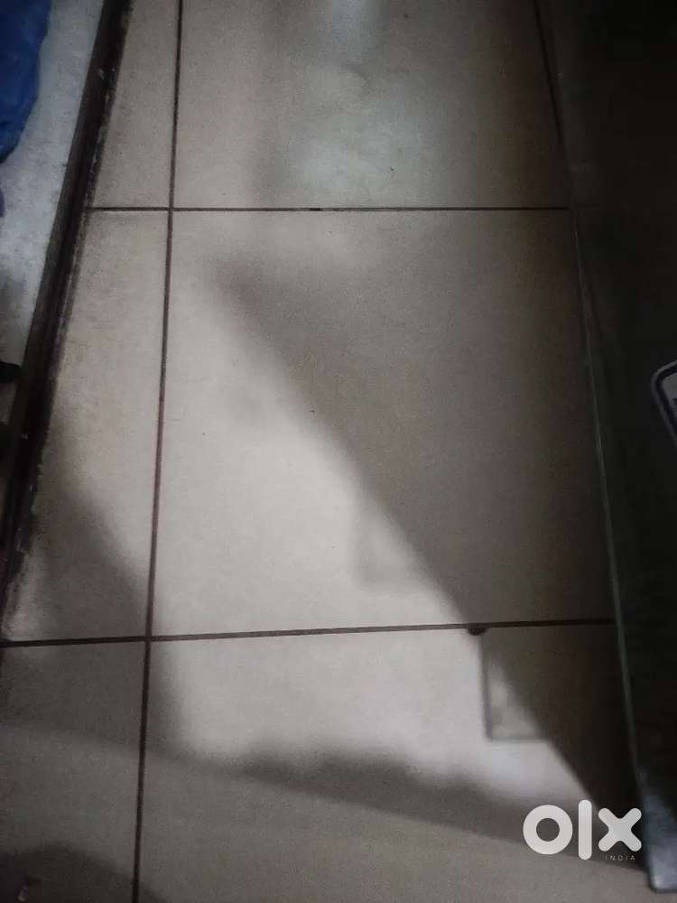 Room mate required for