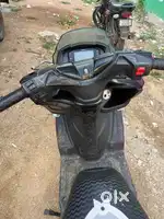 Burgman model 2021