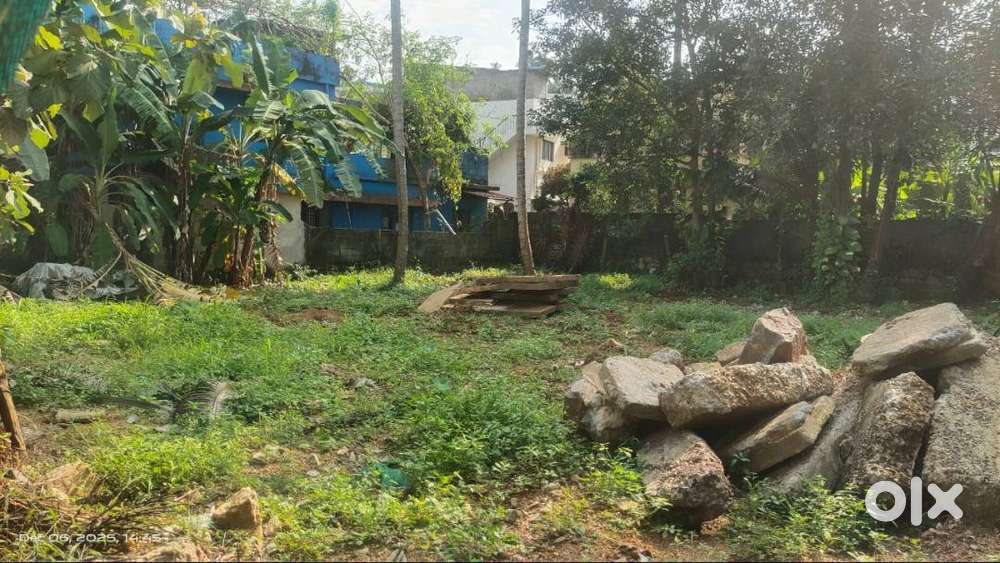 (ID-D232534 ) Plottable 11.7 Cent Land for Sale at THIRUMALA