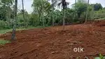 10 & 12 CENTS PLOT IN CHERUTHURUTHY