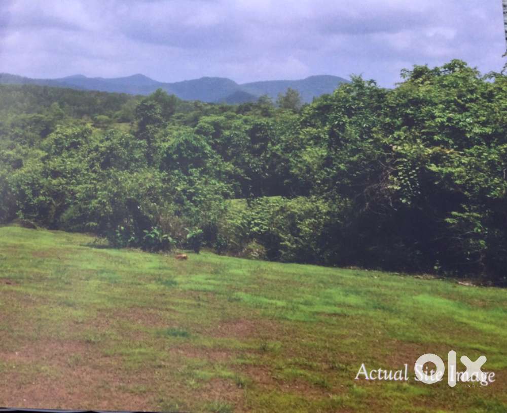 250 acres of clean land containing valleys, mountains and a water body