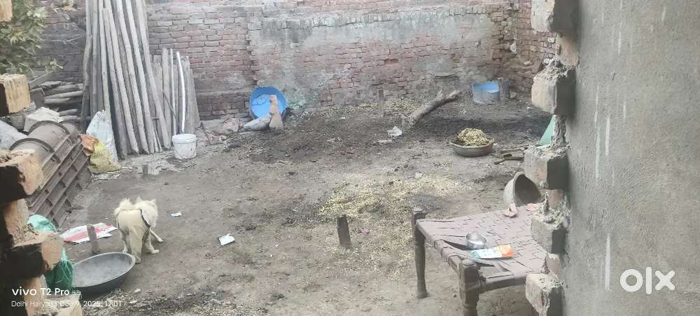 Mara plot vikash nager gali no.7 bahadurgarh district jhajjar haryana