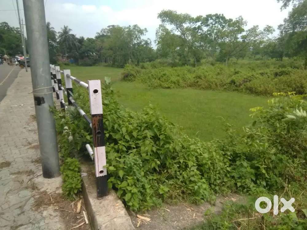 1 katha 5 lessa Main Road property in North ghy