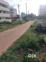 teachers colony