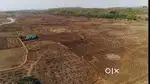 Investment in land and earn monthly income