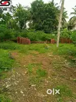 50 cents square plot for sale.