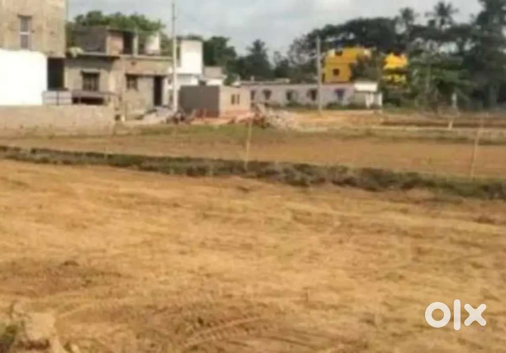 Urgent sale plot (khaspur) maner