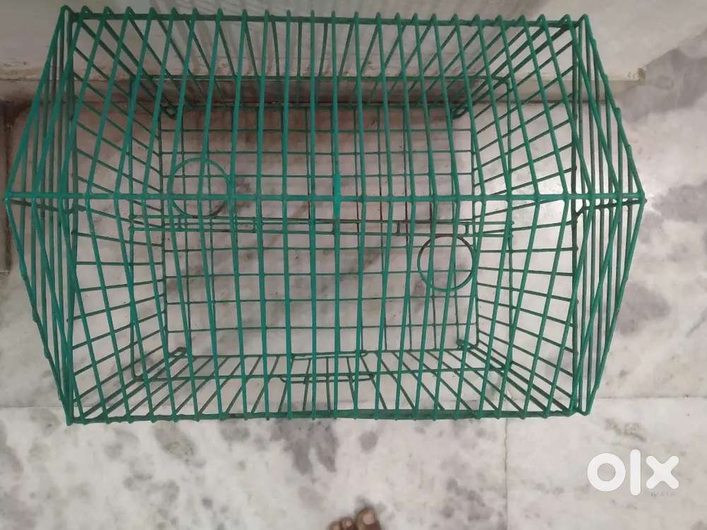 Birds Cage