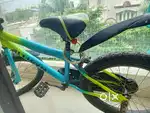 Allwyn sport cycle squid