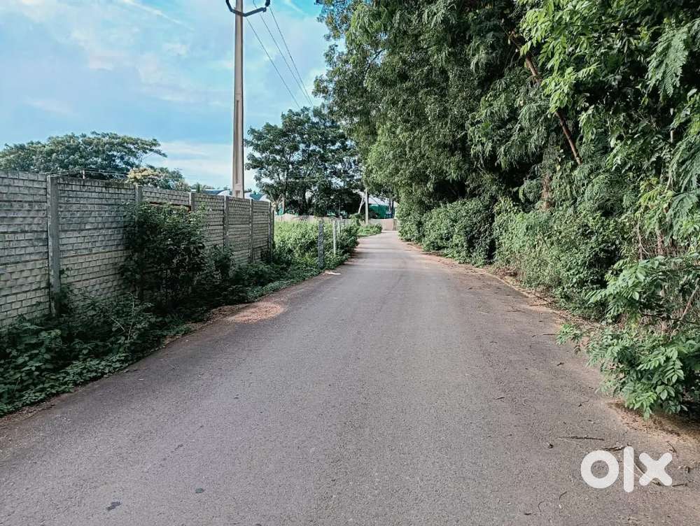 165 sq.yards east facing plot in shamshabad municipality