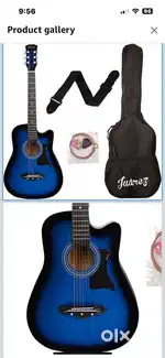 Aquatic Guitar