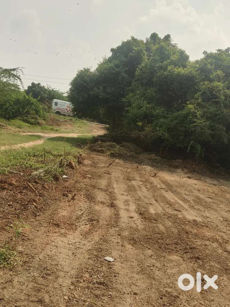 Near Redichavady(Thavalakuppam)