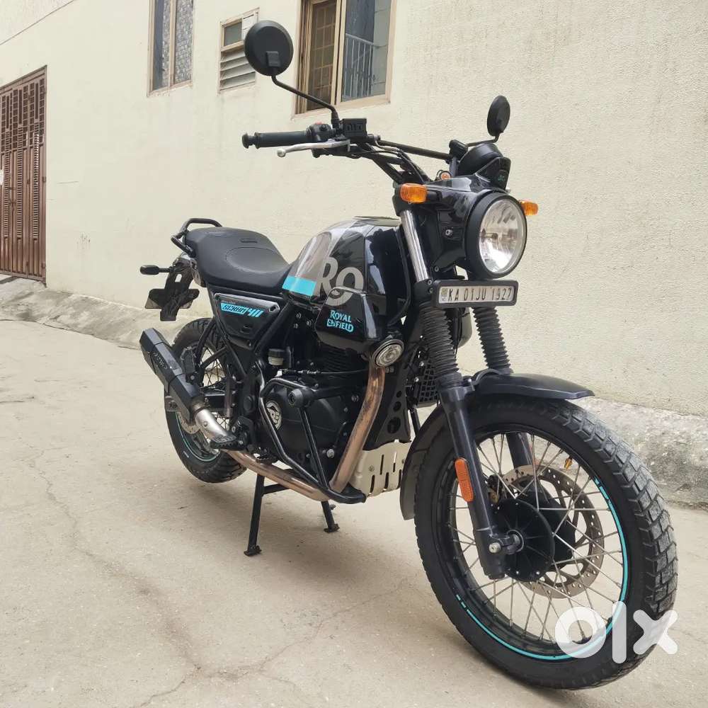 Royal classic Himalayan for 11