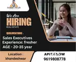 Sales Executive