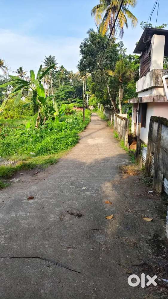 5cent house plot in maruthady road frontage