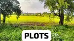 Farmhouse for sale in bhopal